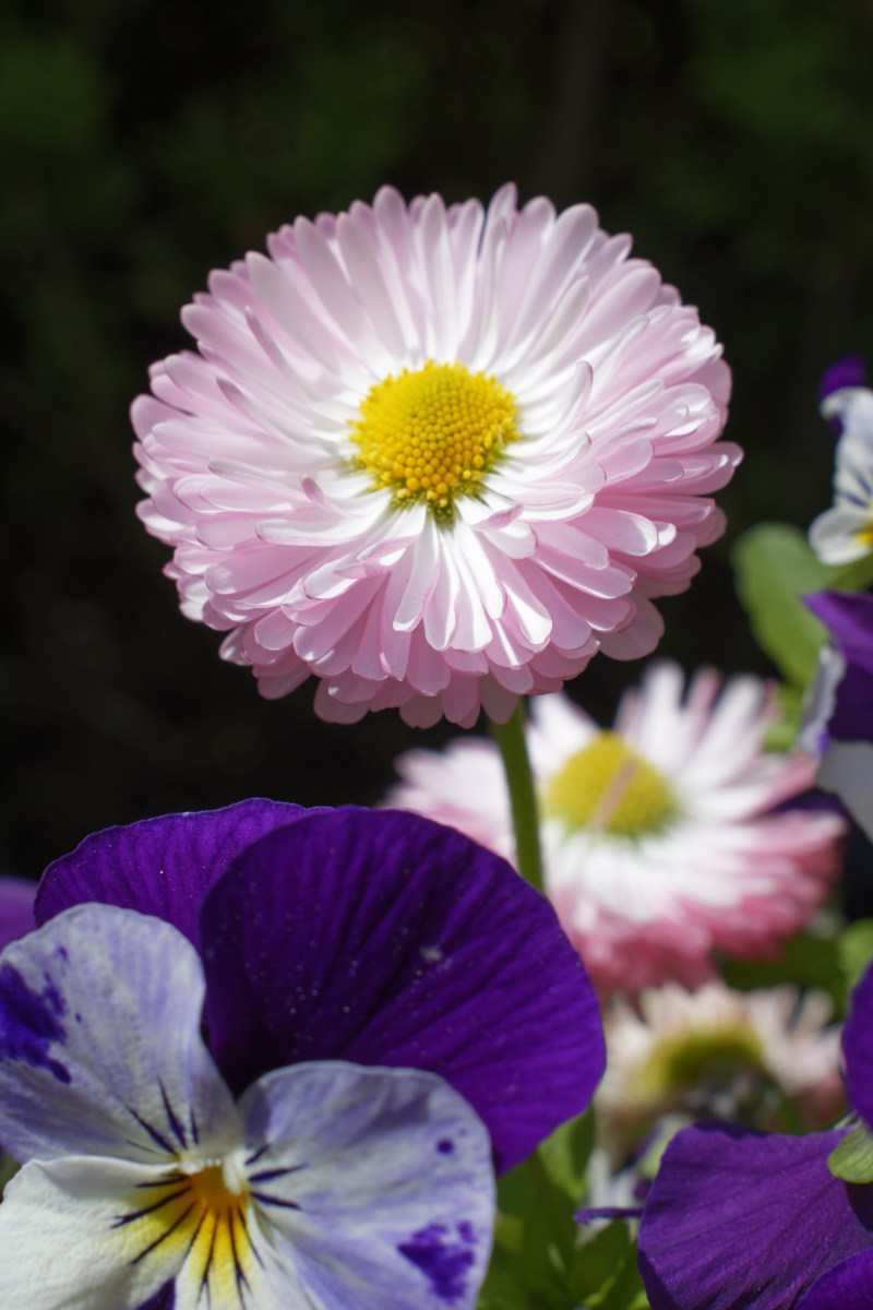 _DSC7580NF.jpg