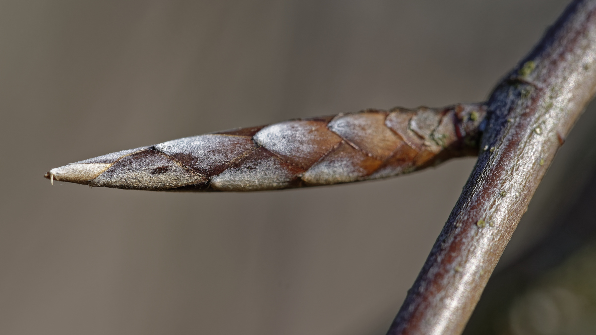 _DSC8339_DxOPA_xl.jpg