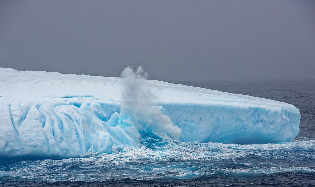 _DSC8723.jpg