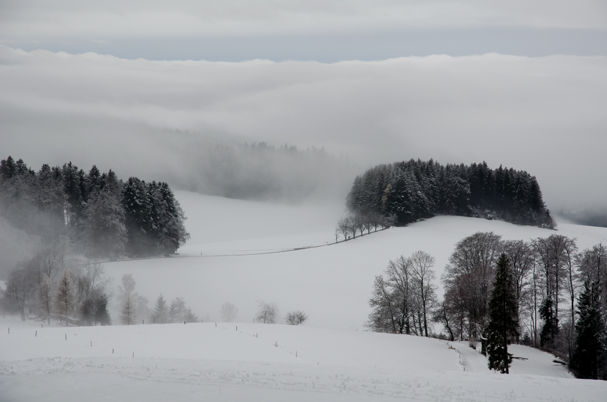 _DSC9053.jpg