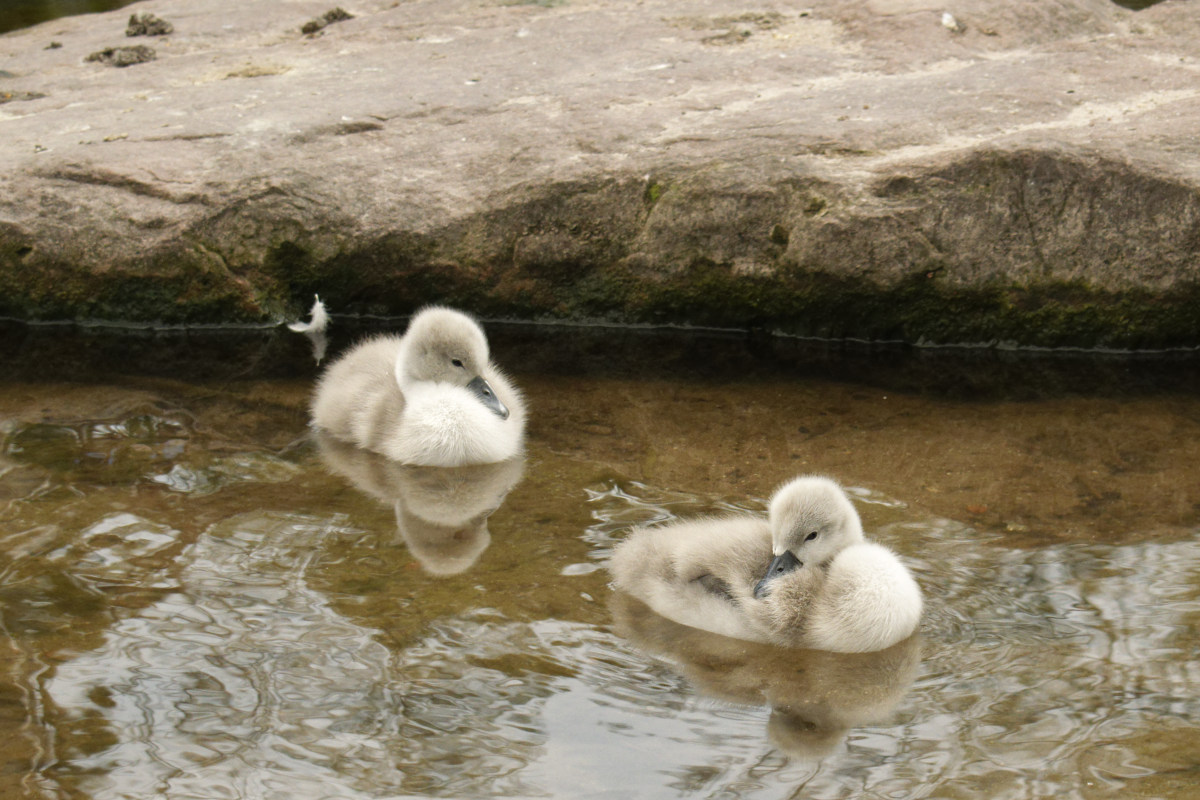 _DSC9069NF.jpg
