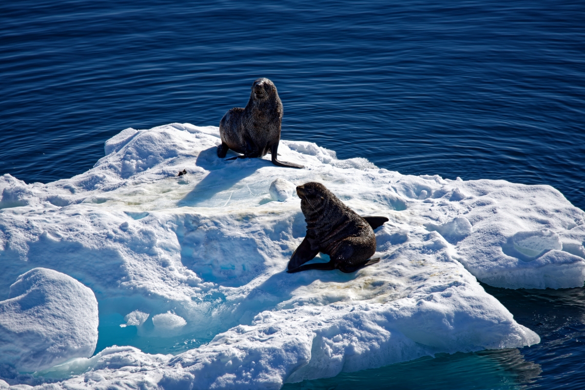 _DSC9076.jpg