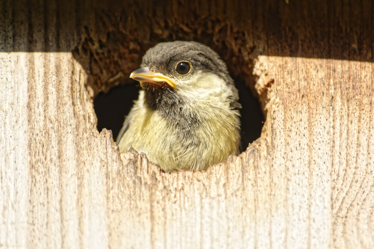 _DSC9182NF.jpg