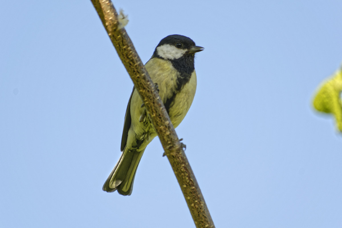 _DSC9191NF.jpg