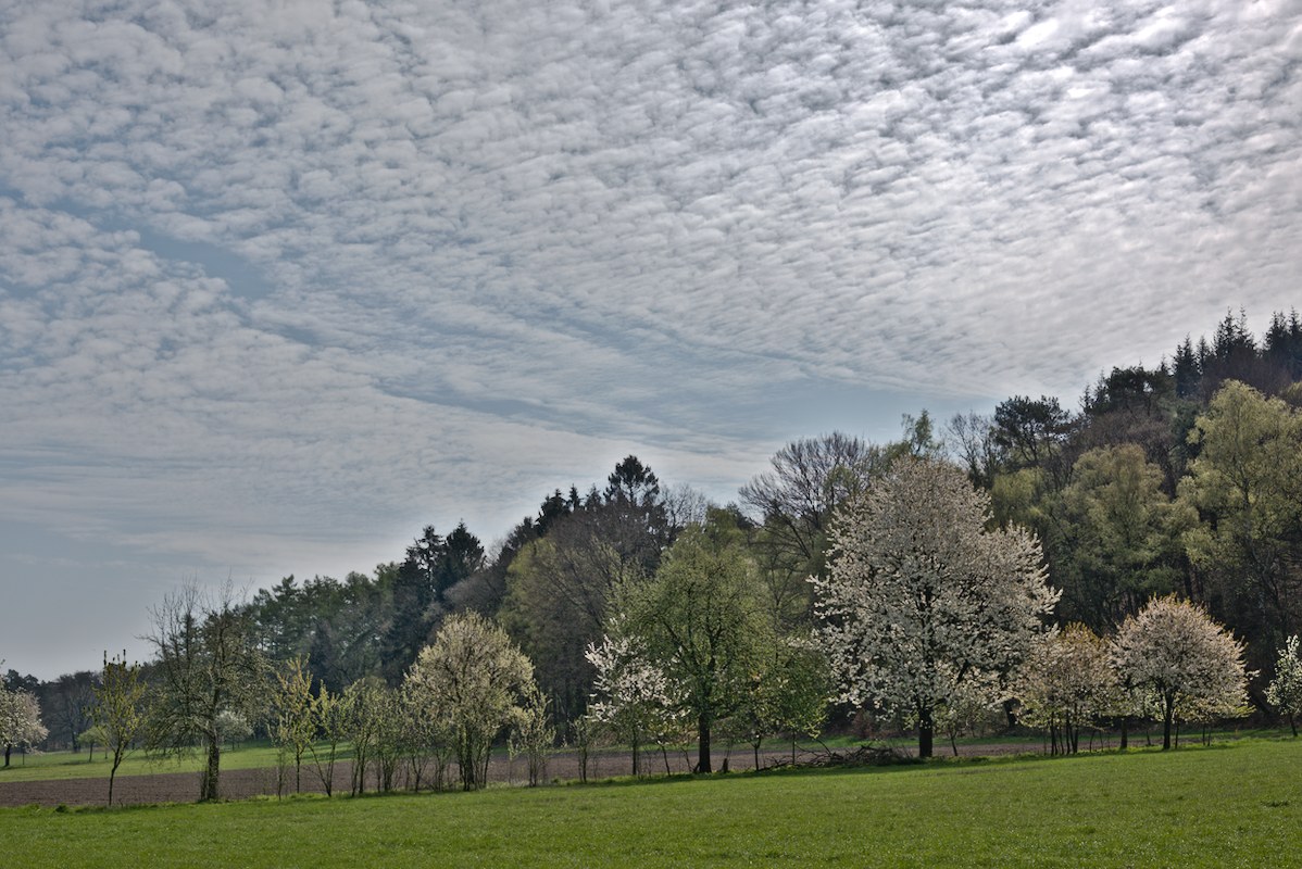 _DSC9290.jpg