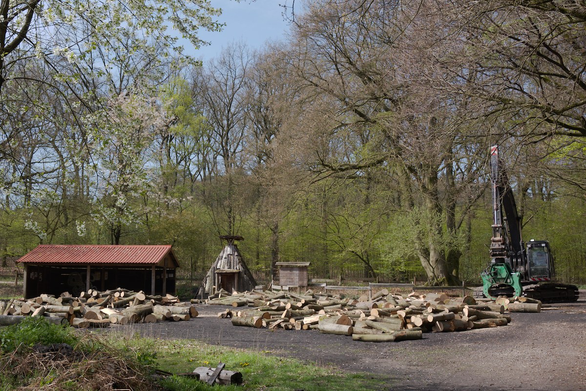 _DSC9291.jpg