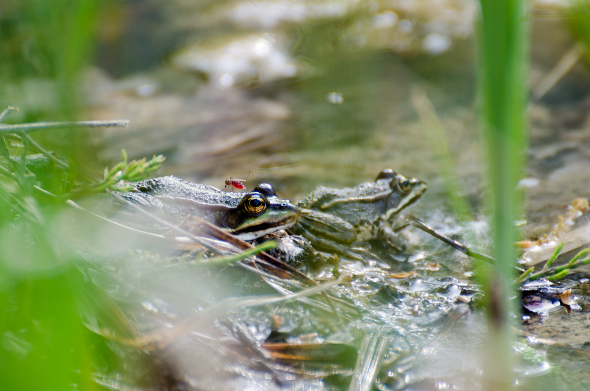 _DSC9648.jpg