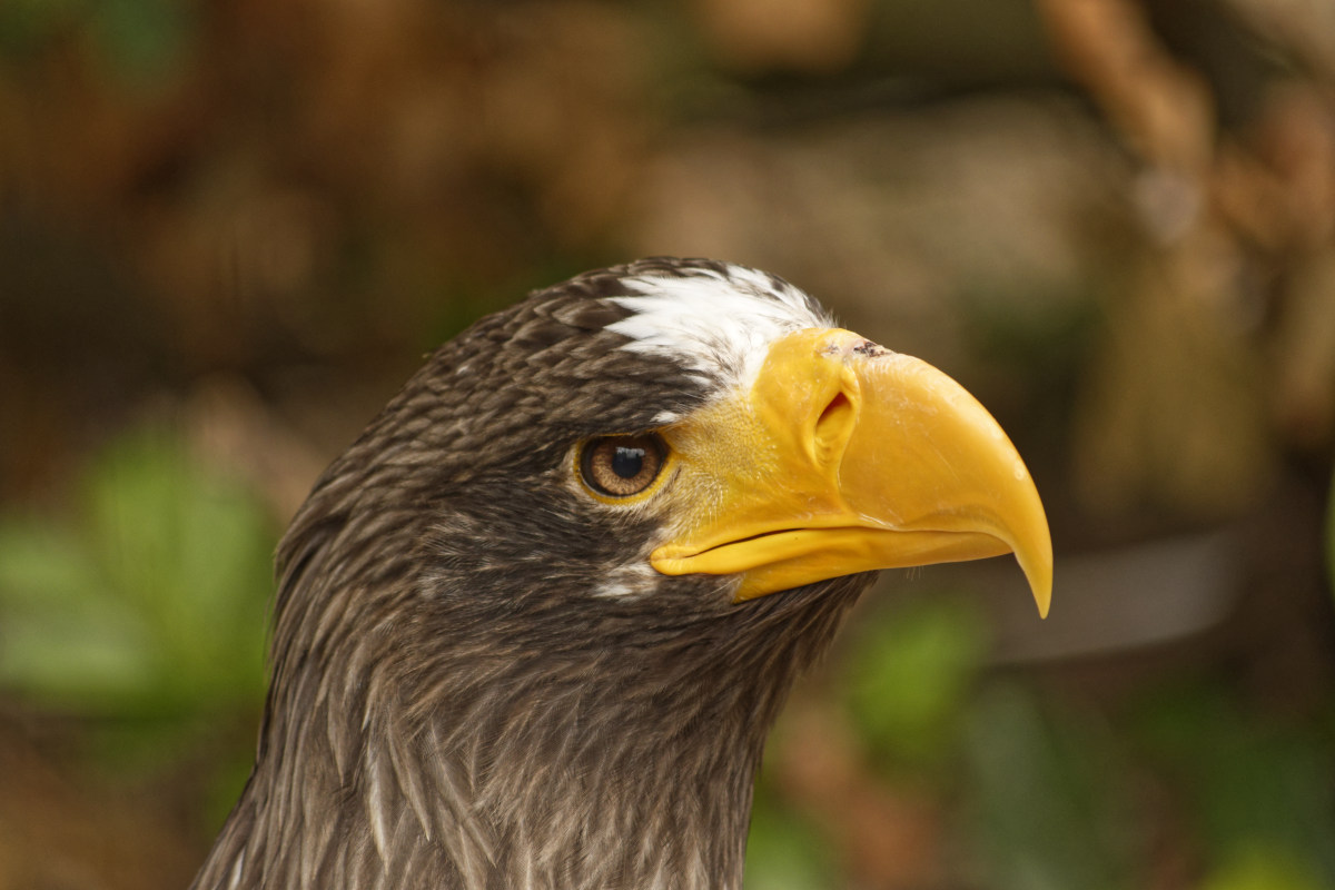 _DSC9998NF.jpg