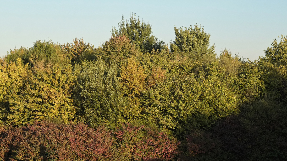 _DSF5642_DxOPAxl.jpg
