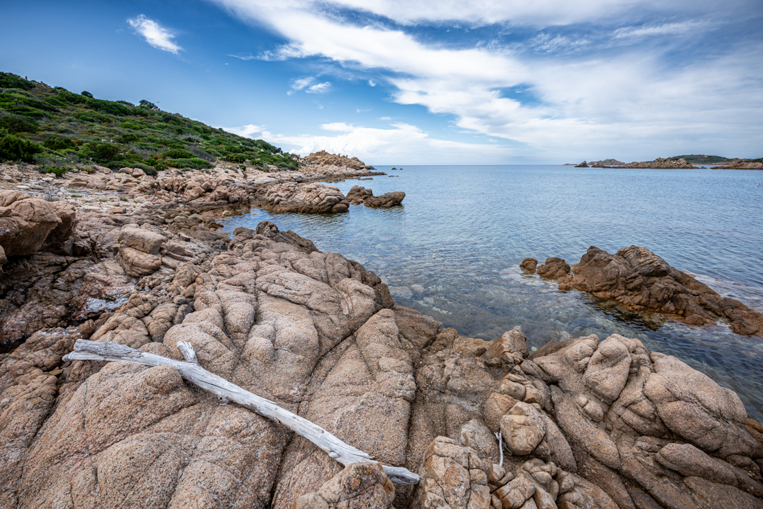 _DZ80416 (1).jpg