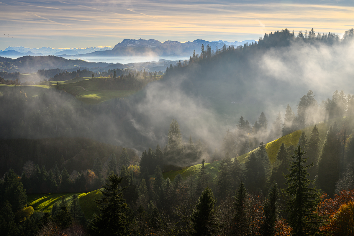 _DZ89177 (2).jpg
