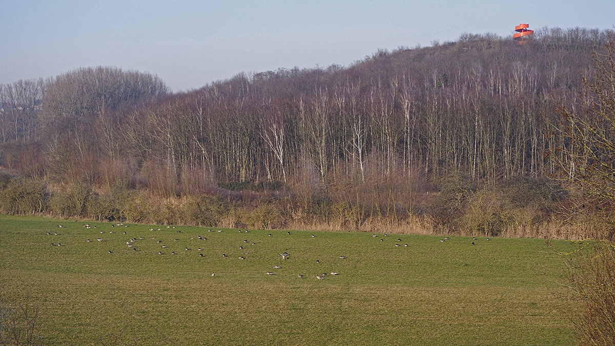 _EM50041Pxl.jpg
