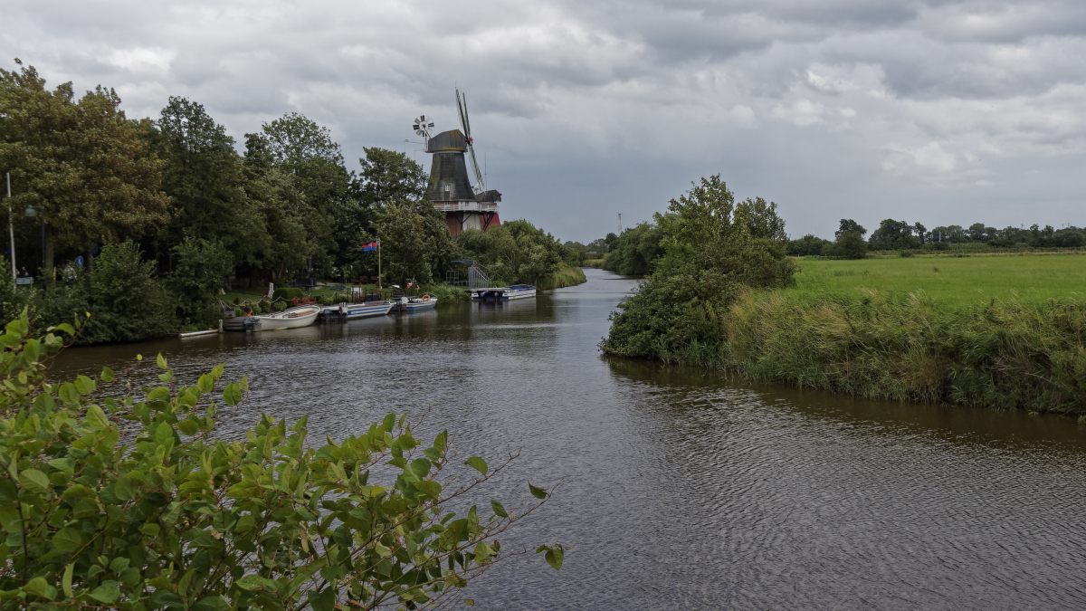 _EM50321_DXOPxl.jpg