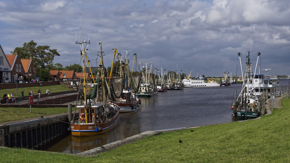 _EM50325_DxOPxl.jpg