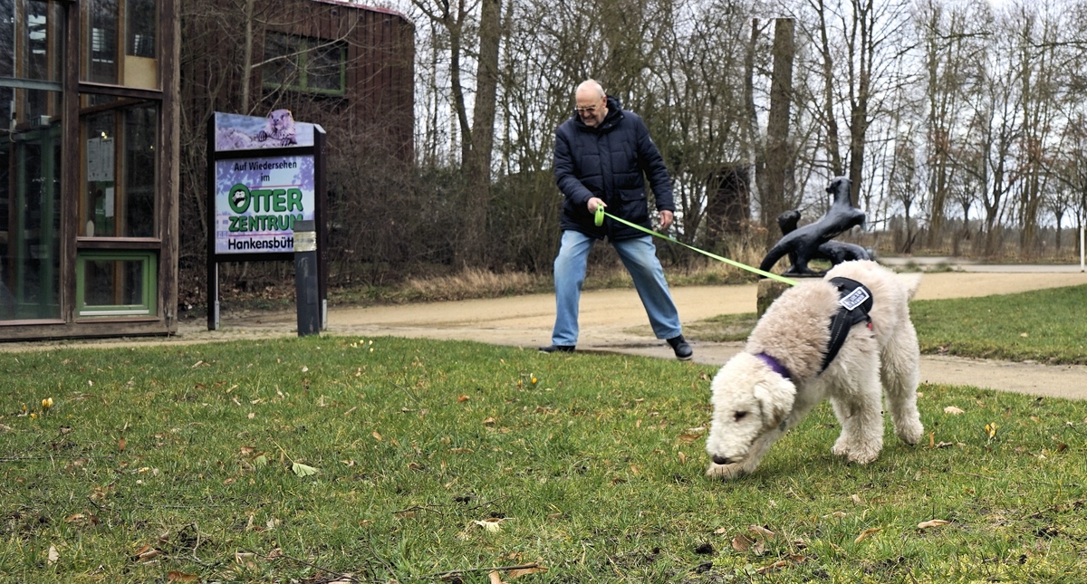 _Herr und Hund mal wieder gemeinsam draußen....jpg