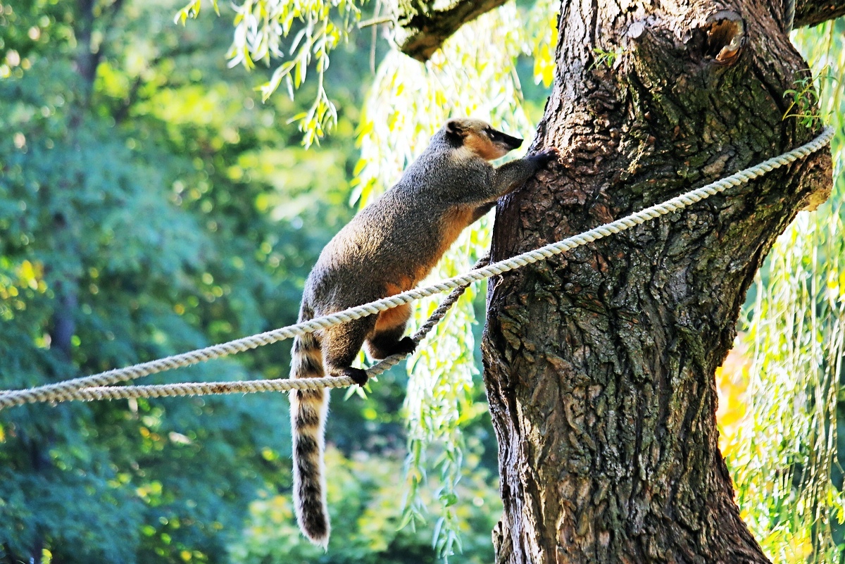 _Im Zoo von Ueckermünde.jpg
