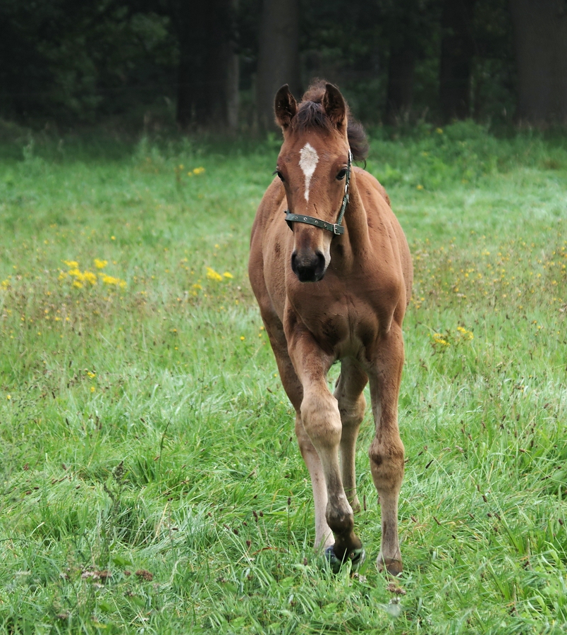 _IMGP3230  Jung und neugierig.jpg