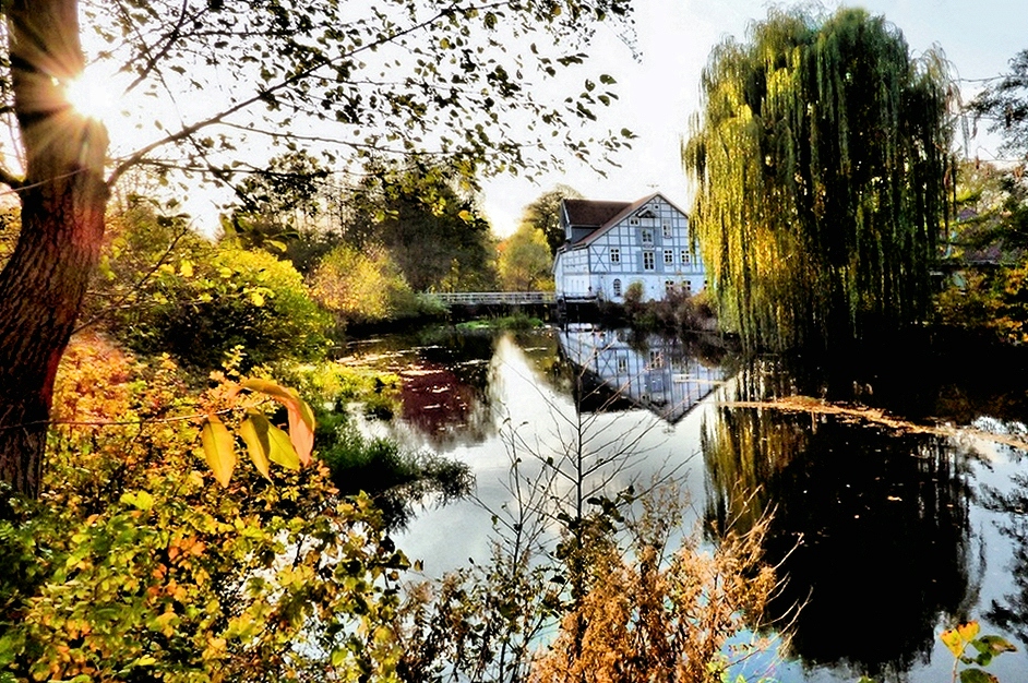 _Mühlsee Oldenstadt.jpg