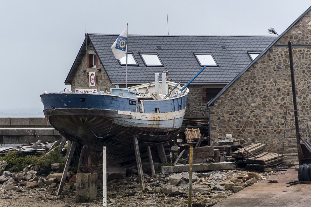 _N1D8270.jpg