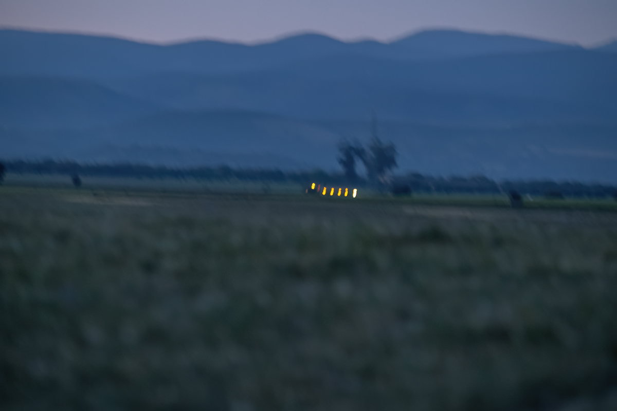 _NZ94376.jpg