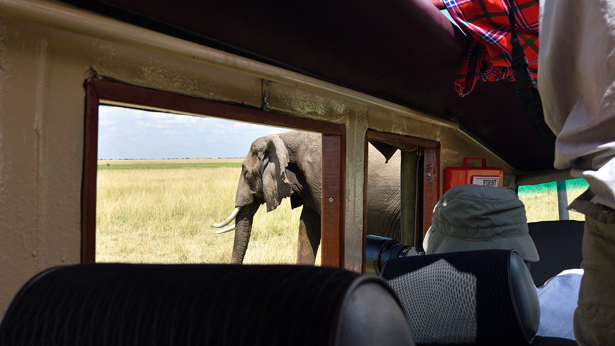 _R050322_20180731_143713_5768Masai Mara 2018_7158Masai Mara 2018.jpg