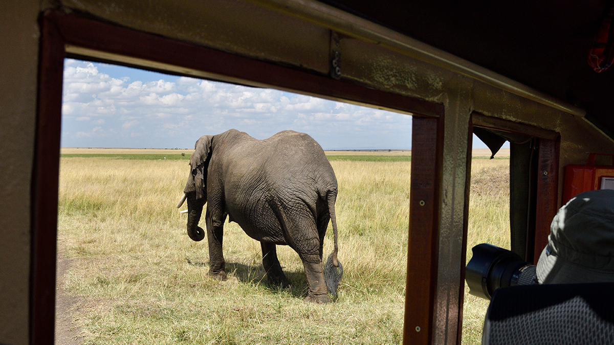 _R050323_20180731_143717_5707Masai Mara 2018_7091Masai Mara 2018.jpg