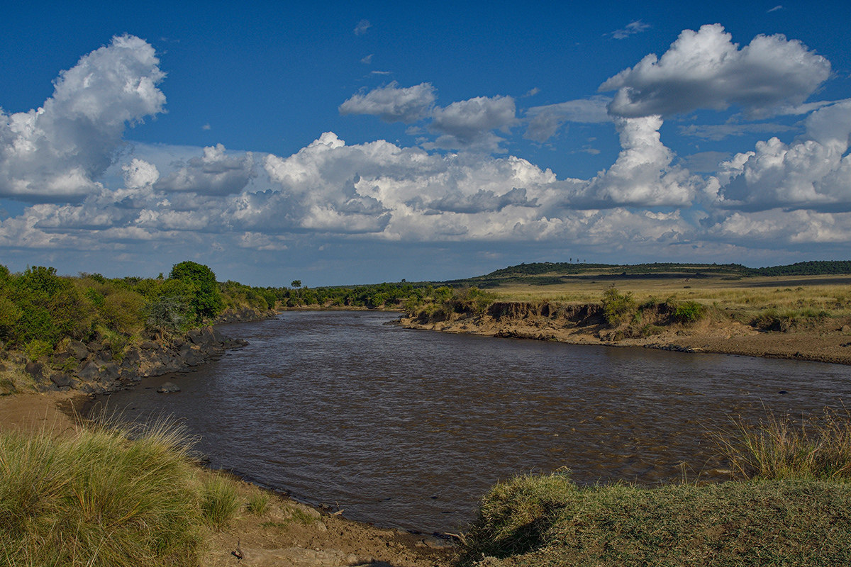_R050509_20180731_170028_5714Masai Mara 2018_7098Masai Mara 2018.jpg