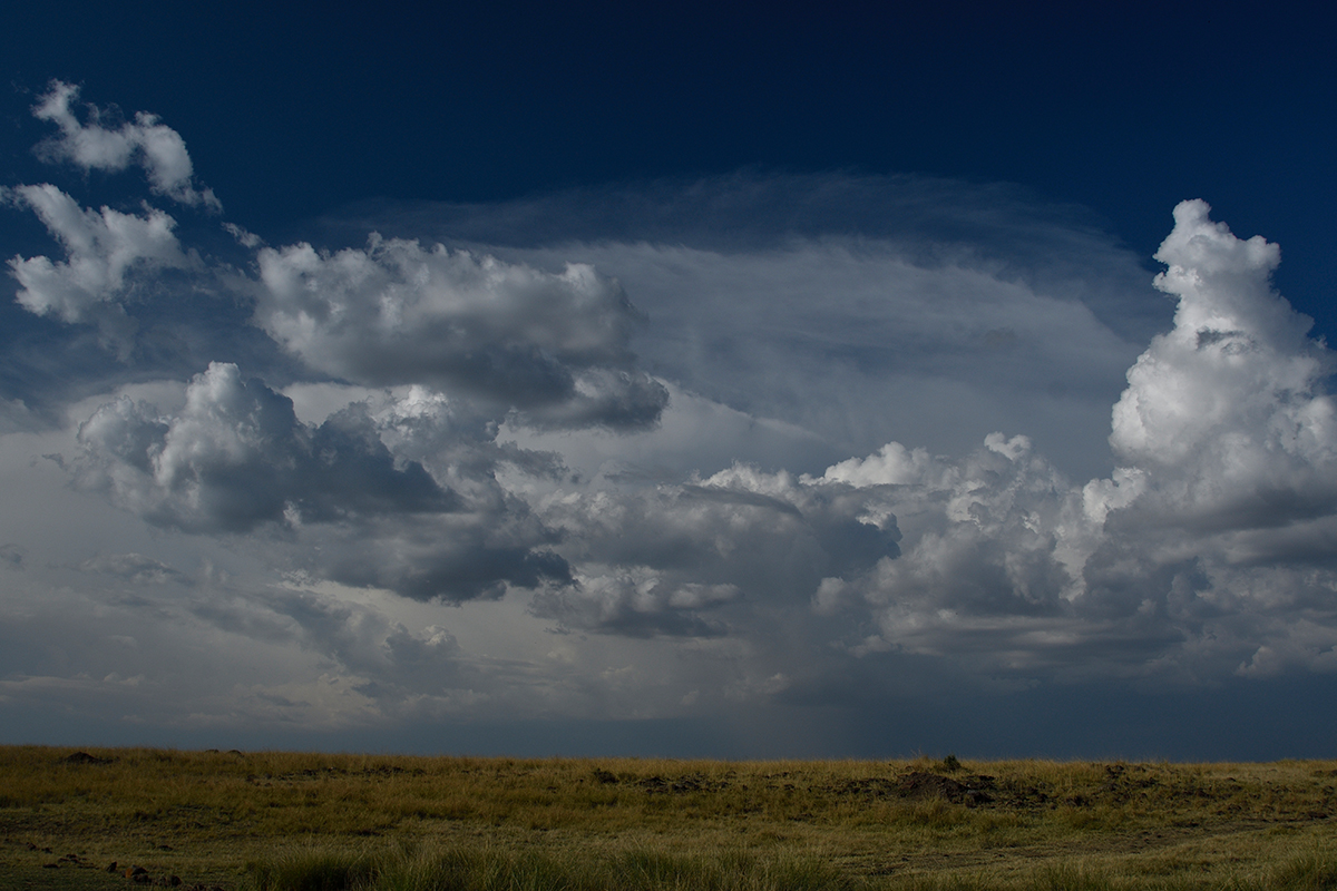 _R050518_20180731_170144_5719Masai Mara 2018_7103Masai Mara 2018.jpg