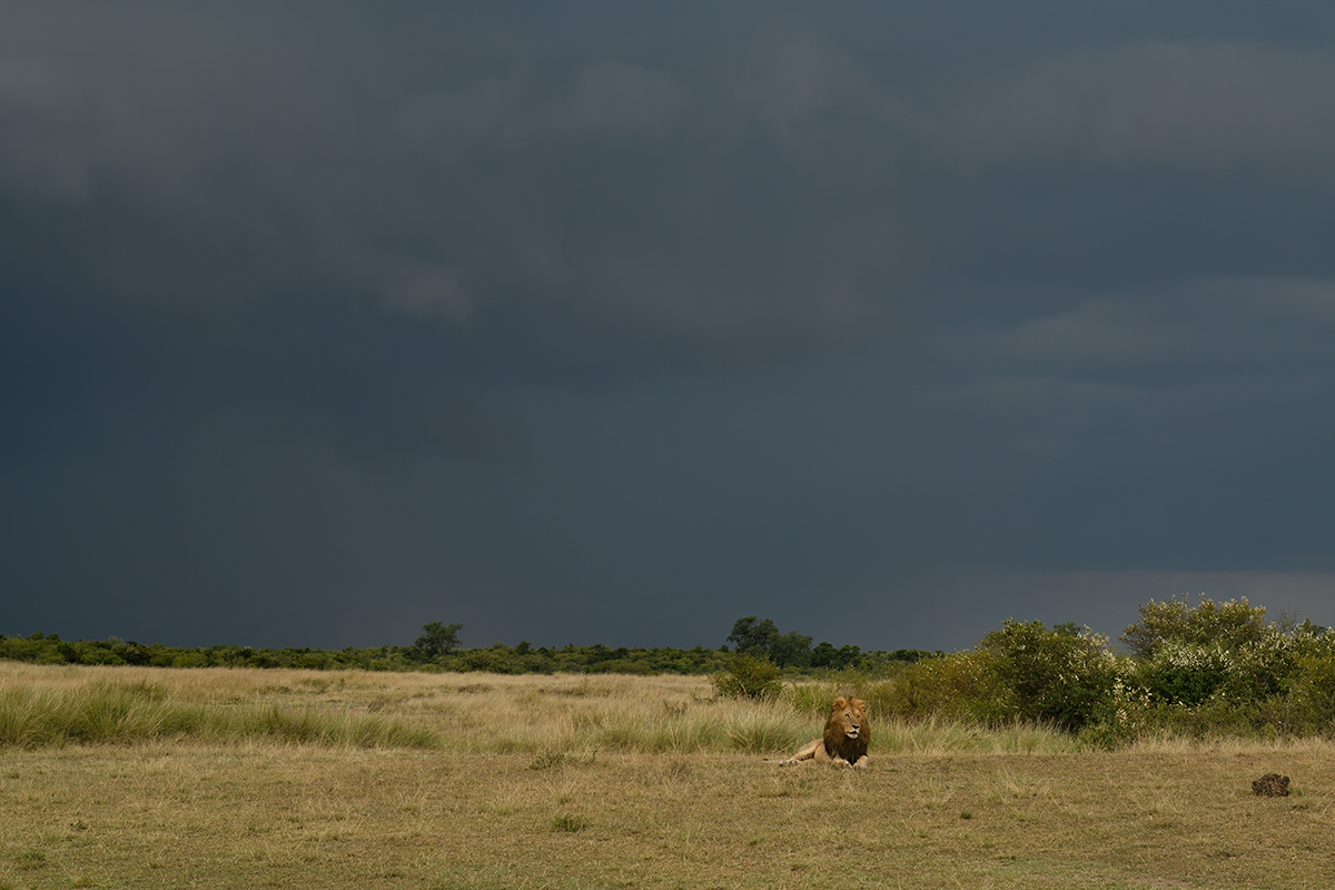 _R050773_20180731_181149_5740Masai Mara 2018_7124Masai Mara 2018.jpg