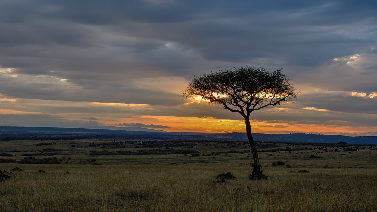 _R050810_20180801_070144_5869Masai Mara 2018_5972Masai Mara 2018.jpg