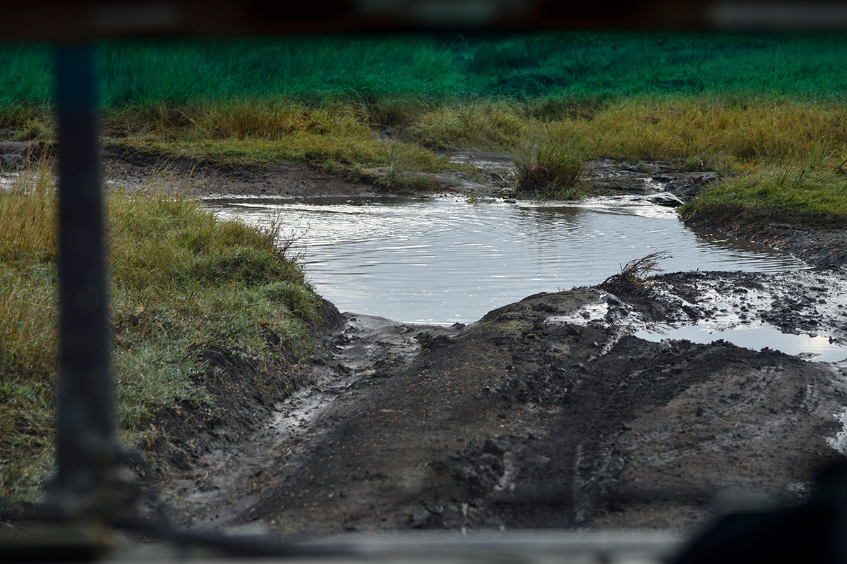_R050830_20180801_074115_5872Masai Mara 2018_5975Masai Mara 2018.jpg