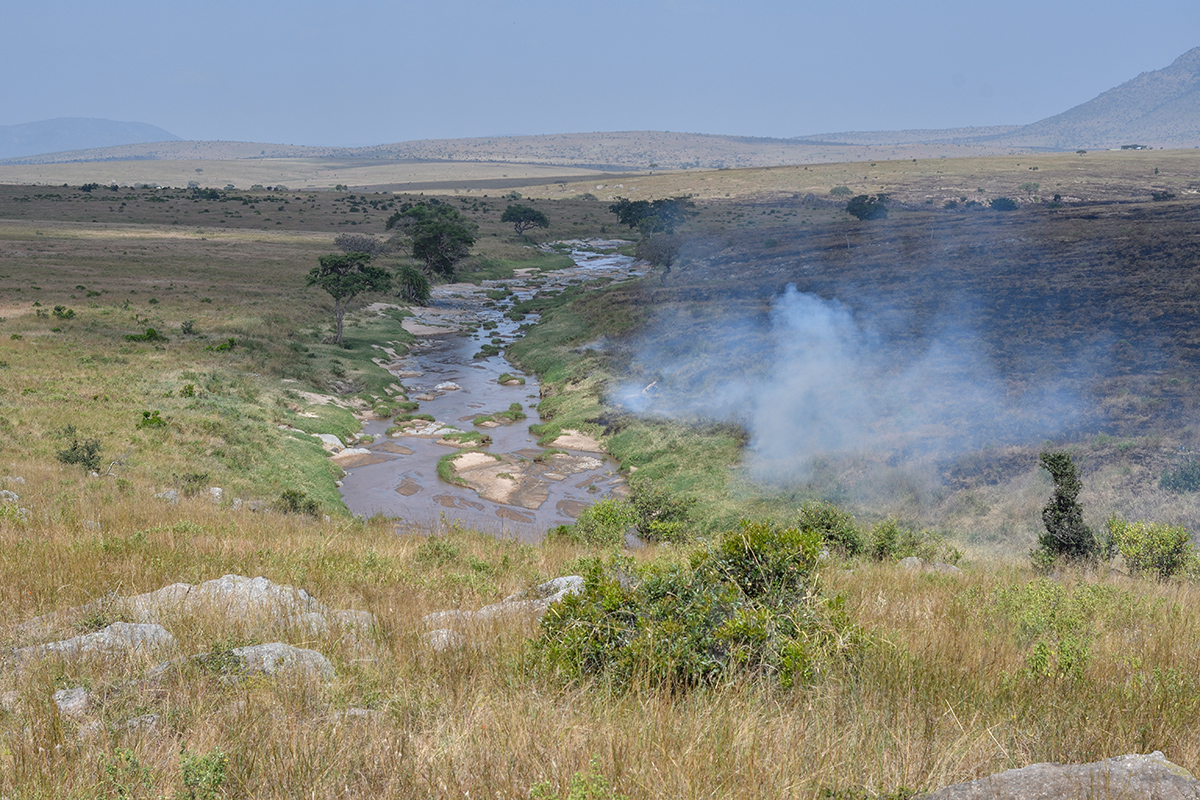 _R055589_20180723_144515_2477Masai Mara 2018_3219Masai Mara 2018-1200.jpg