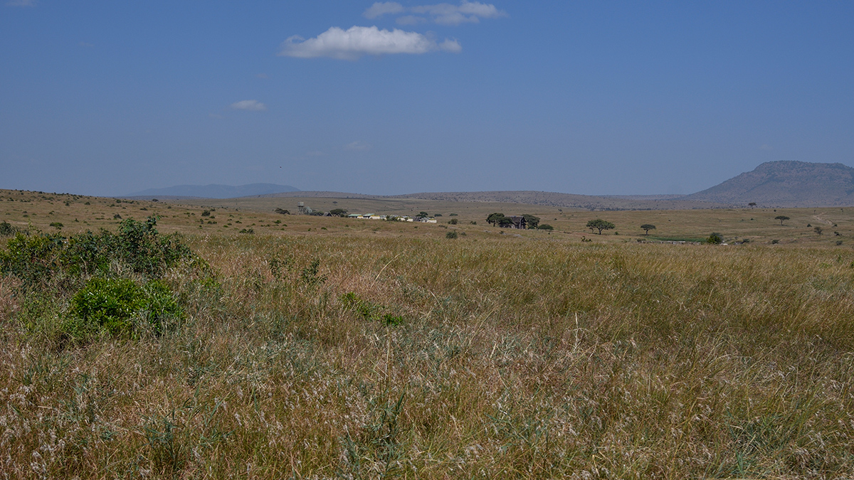 _R055611_20180723_150157_2479Masai Mara 2018_3221Masai Mara 2018-1200.jpg