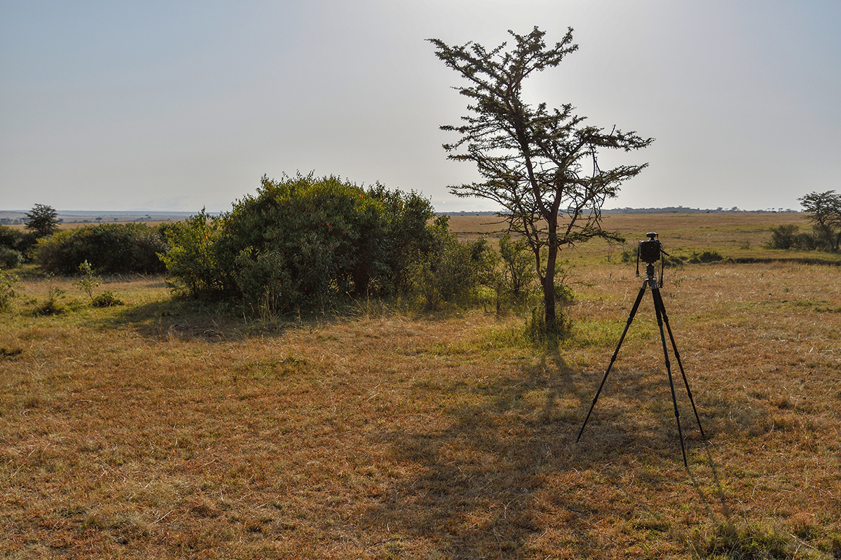 _R056070_20180726_082320_3080Masai Mara 2018_3959Masai Mara 2018.jpg
