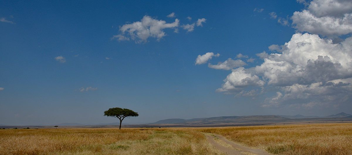 _R056952_20180727_154314_3980Masai Mara 2018.jpg