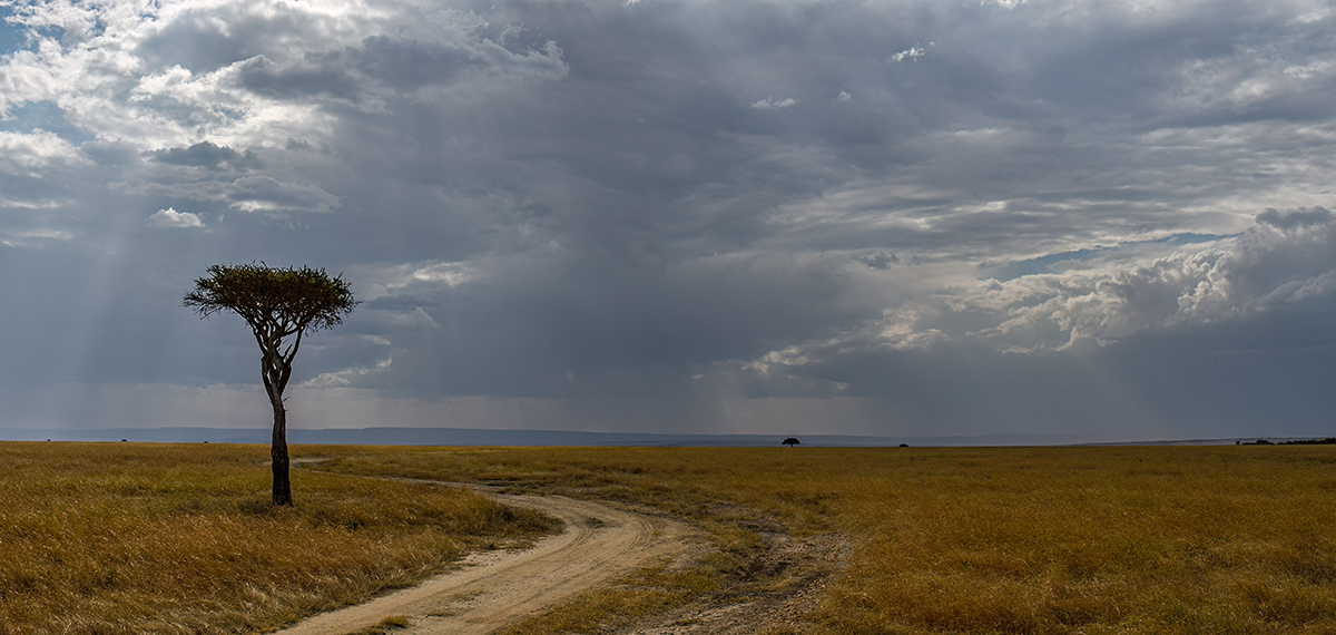 _R056956_20180727_162353_3982Masai Mara 2018.jpg