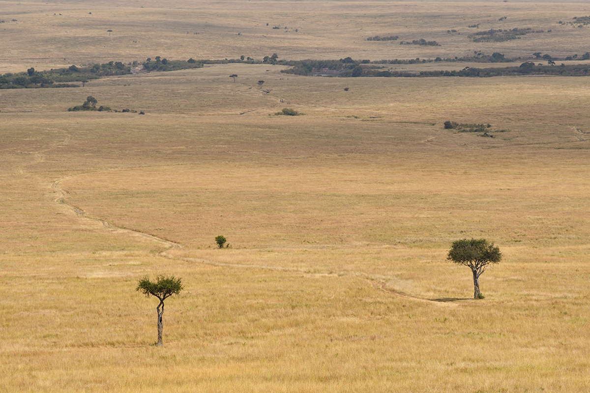 _R057106_20180728_110257_4422Masai Mara 2018_7378Masai Mara 2018.jpg