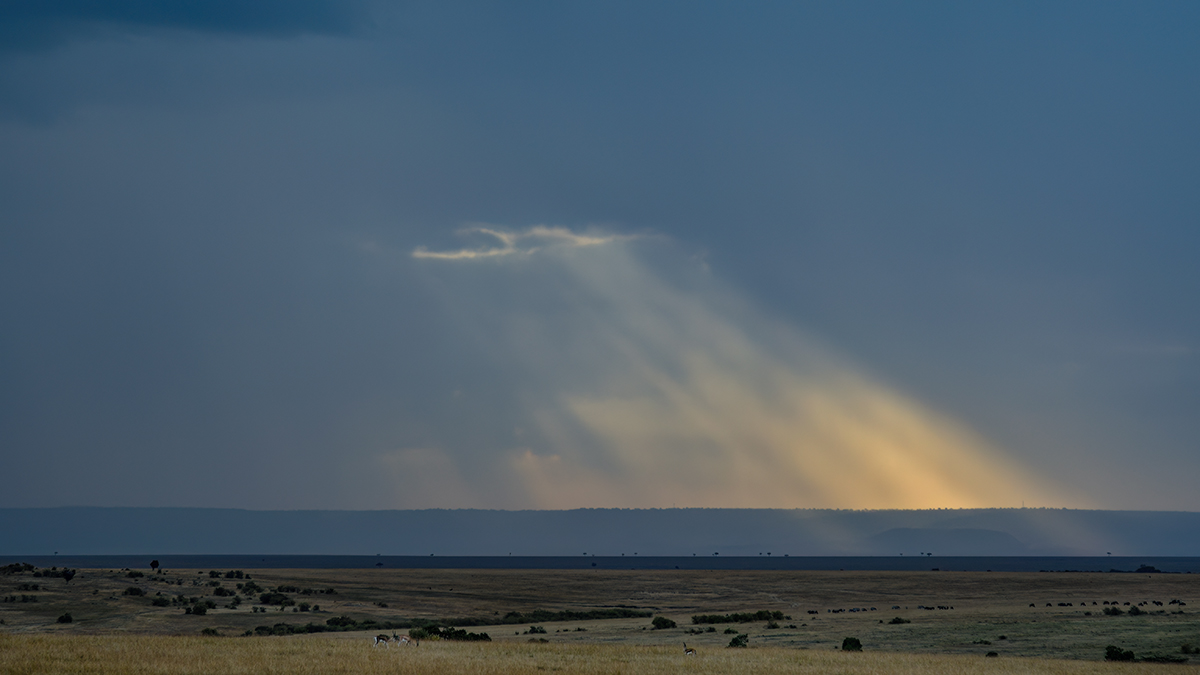 _R057548_20180728_180504_4447Masai Mara 2018_7403Masai Mara 2018.jpg
