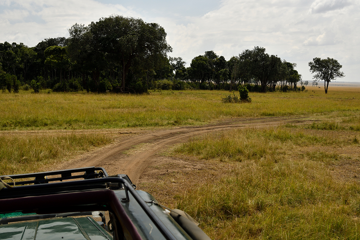 _R058006_20180729_113212_4847Masai Mara 2018_7768Masai Mara 2018.jpg