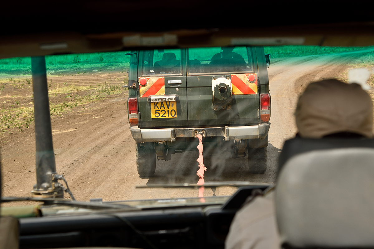 _R058014_20180729_121404_4868Masai Mara 2018_7794Masai Mara 2018.jpg