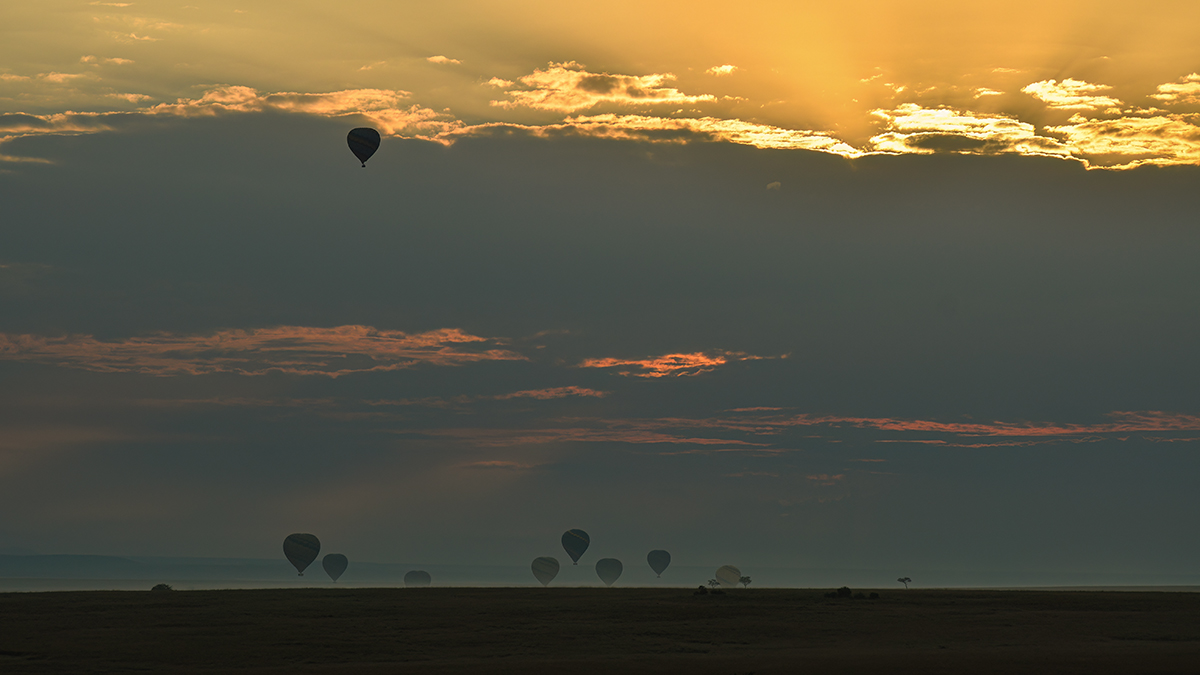 _R058295_20180730_070544_5064Masai Mara 2018_6702Masai Mara 2018.jpg