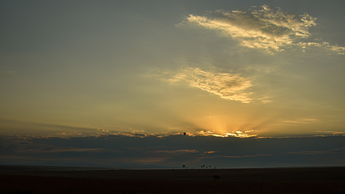 _R058299_20180730_070603_5065Masai Mara 2018_6703Masai Mara 2018.jpg