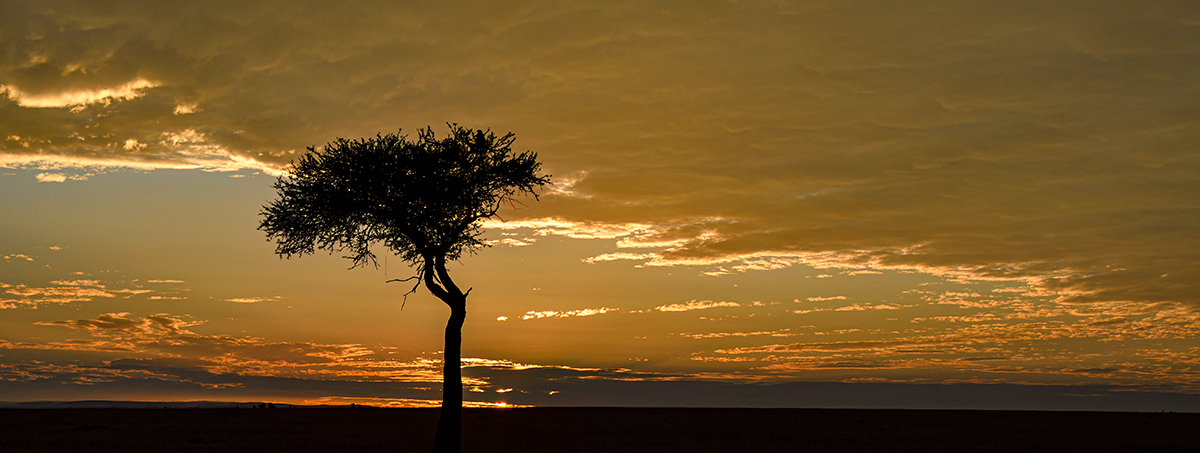 _R059791_20180731_065133_5750Masai Mara 2018_7134Masai Mara 2018.jpg