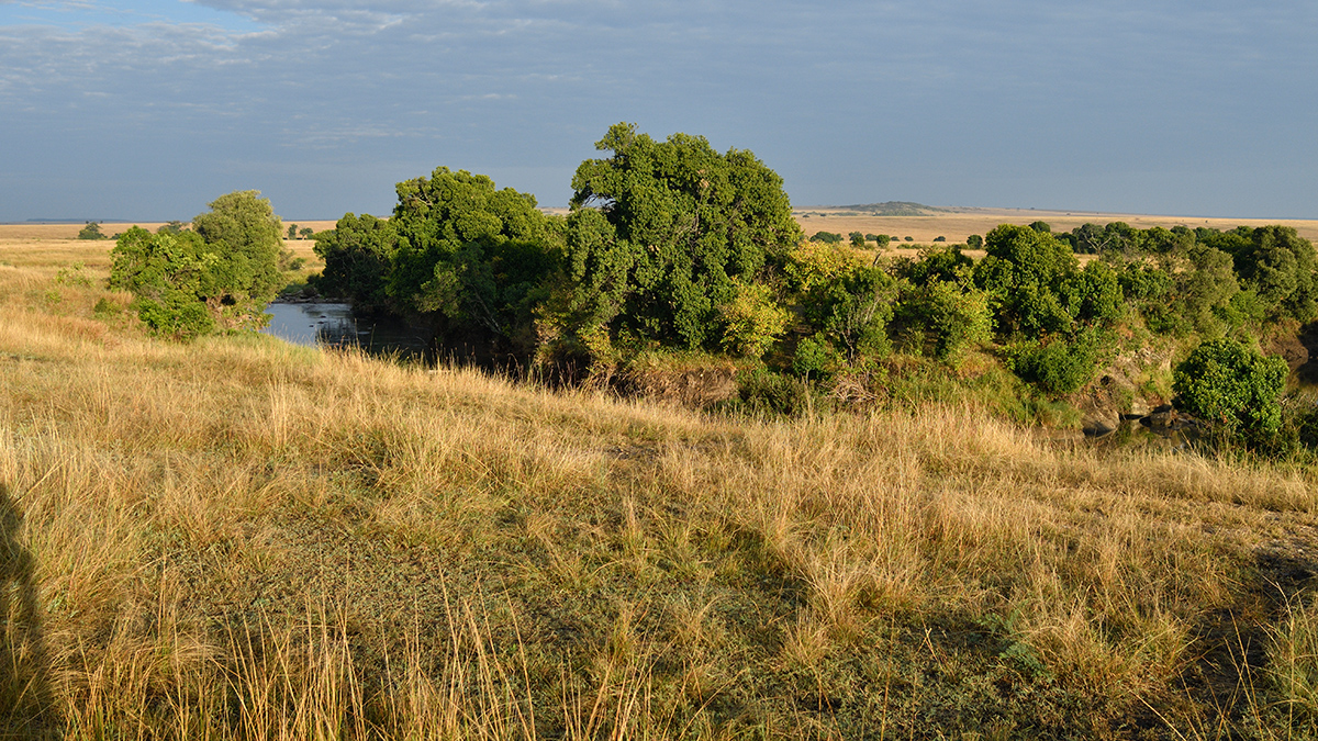 _R059801_20180731_072940_5751Masai Mara 2018_7135Masai Mara 2018.jpg