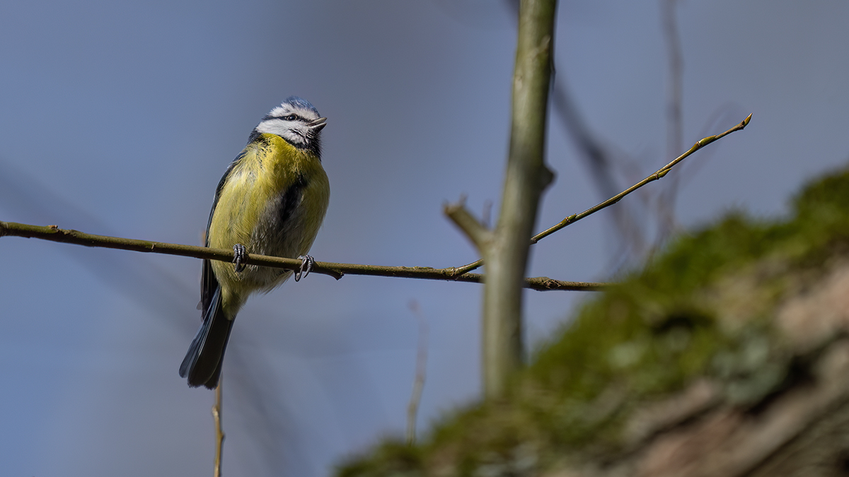 _RGZ0413-Koks-Loch-1200.jpg