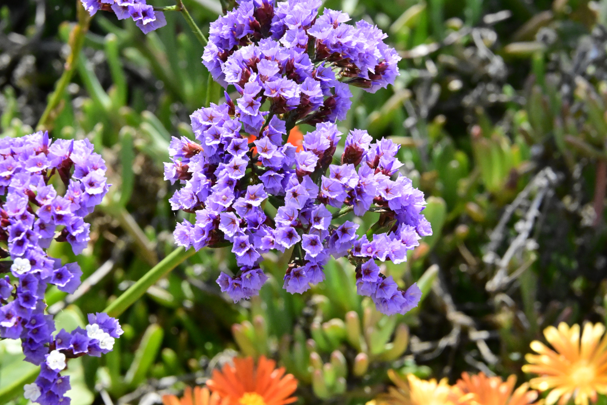 _U023093-1200x800.jpeg