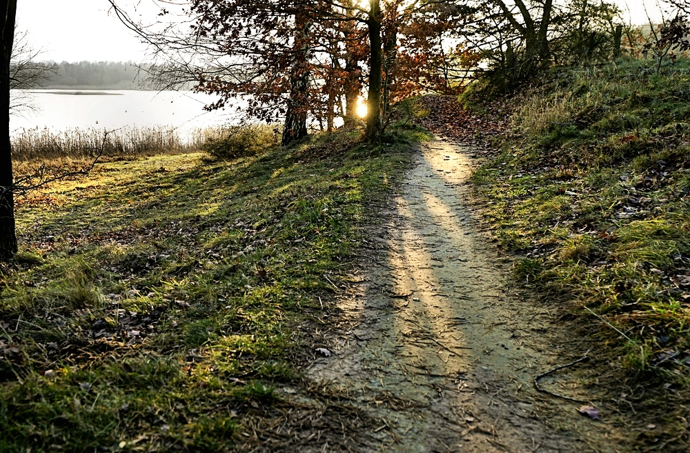_War auch in der Natur unterwegs.jpg