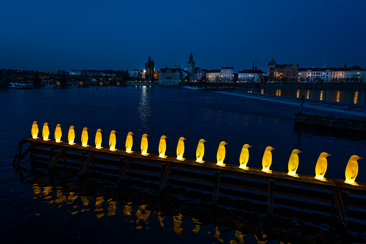 _WZ71280-Kopie.jpg