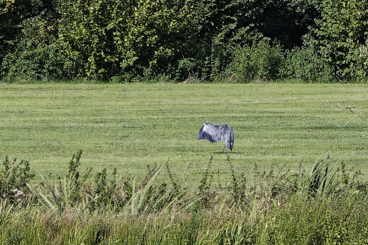 _Z500569_DxOAAAxl_2.jpg