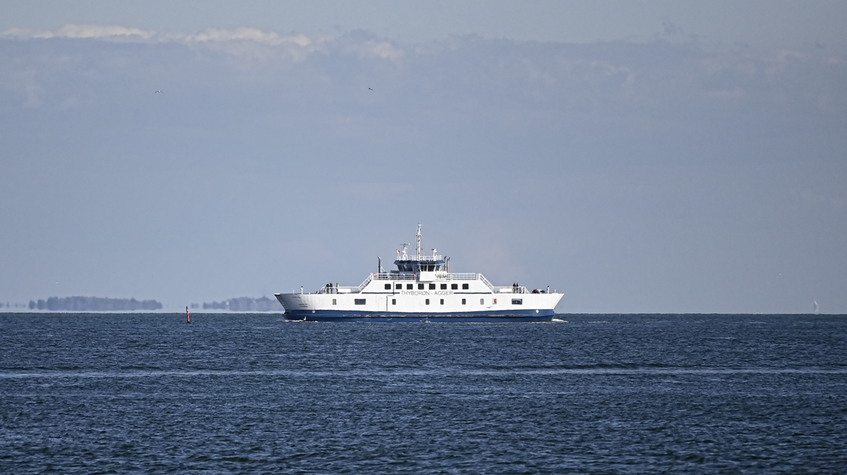 _Z505387PAxl.jpg